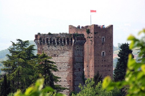 Image Slider Link1